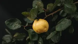 Nature. Different. Effective: Nurturing plants.
