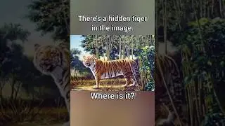 Where is the hidden tiger? #shorts #viral #shortvideo