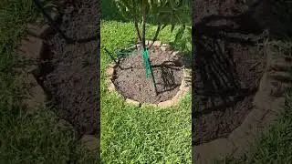 Full Yard Transformation | Mulch, Rock, Sod Install, Edging & Cleanup | Riverview FL Landscaping