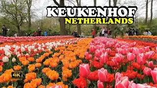 4K | Keukenhof | Netherlands