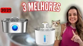 Bebedouros para Gatos em 2025 - Os MELHORES para não ter DOR DE CABEÇA!
