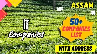 IT COMPANIES IN ASSAM | MECHALEX