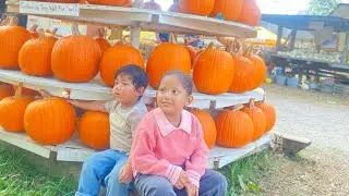 VISITING IN PIGEON ROOST FARM (PuMKIN FARM)