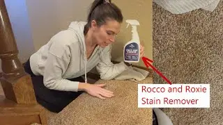 Rocco & Roxie Professional Strength Stain & Odor Eliminator #RoccoRoxie #StainRemover#OdorEliminator