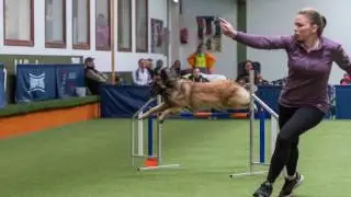 &deg;&deg;3.+4. WM/EO-Quali 2017&deg;&deg; - Mona Grefenstein mit Qju & Amidi - L&uuml;bbecke