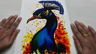 How to colour using Brush Pens? | Peacock Drawing Tutorial | Art Exotic