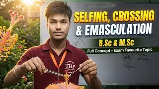 Selfing, Crossing & Emasculation 🌺  | B.Sc / M.Sc Botany