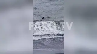 La huida de los menores: casi 30 cruzan a nado a Ceuta en 24 horas