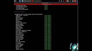 Checking your Linux system for Rootkits with RK hunter
