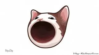 pop cat but its animated