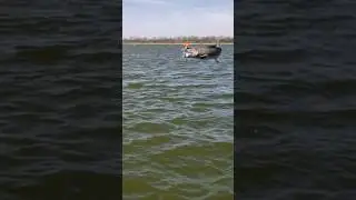 Flying CATFISH!  #slomo #fishing #catfish