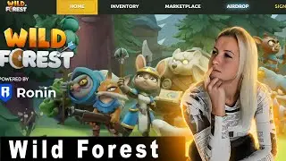 Ещё больше заработка в Wild Forest: Как работает Signal Fire?
