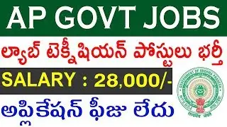 AP Govt Jobs 2020 | Lab Technician Jobs in AP | DMHO Prakasam Govt Jobs 2020 | Telugu Job Portal