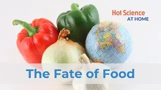The Fate of Food