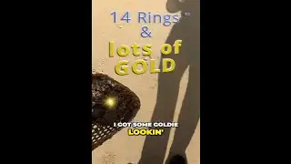 i found 14 rings and lots of gold #beach #gold #metaldetecting