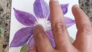 Clematis vine flower #watercolorpainting