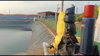 SHRIMP FARMING IN INDIA/Growing and Harvesting Vannamei Prawns/High Profitability/