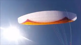 Vol 290 - Chalais en Bi Safari - 12.08.2018