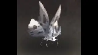 Kalimdor Safari: Grey Moth Battle Pet, Azuremyst Isle, WoW Retail