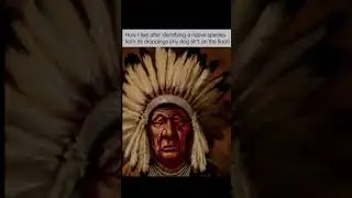 Native American core #funny #memes #memesdaily