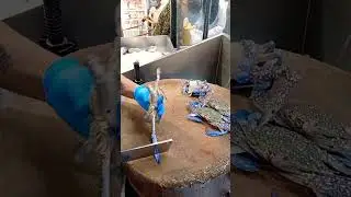 The Most King Crabs Cutting Skills#shorts