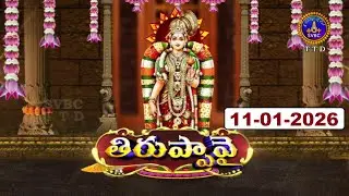 ధనుర్మాసోత్సవం తిరుప్పావై || Dhanurmasotsavam || Tiruppavai || Tirumala || 11-01-2026 || SVBC TTD