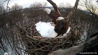 Hanover Eagles Live Cam   HDOnTap — Mozilla Firefox 2026 02 04 17 29 10