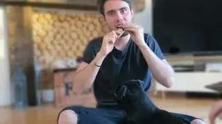 TRYING DOG TREATS