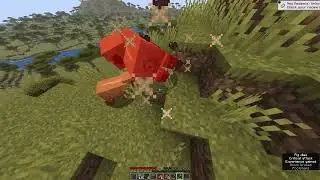 Hardcore Difficulty - World 03 (Minecraft)