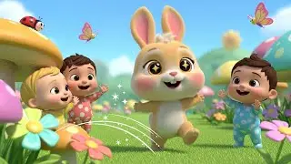 Nibbles Bunny 🐰 | Cute Kids Cartoon & Toddler Video | Fun Animal Adventure USA