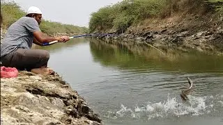 Awesome FISHING|Baam Fish Catching|Unique Fishing|Indian Eel Fishing |Village Fishing|Eel Fishing