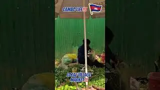 Cambodian Village life!!! 😁🇰🇭