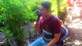 NEW RULES (Dua Lipa) by LOUH VICTOR ROA | JANLOUH VIDEOKE TV