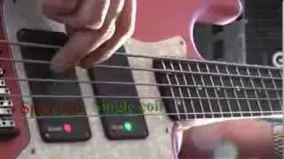 SimS Super Quad Demo -  5 String