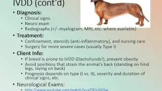MBC Vet Tech Online Review 6.1 - Nervous System Diseases
