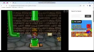 Paper Mario TTYD PO100T (Pit of 100 Trials)