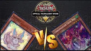 Purrely VS Libromance