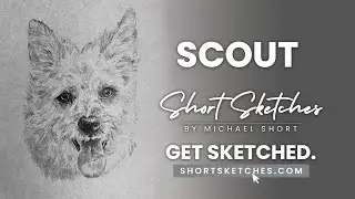 Dog Scout - Portrait Sketch Tribute | Time Lapse Drawing by Short Sketches