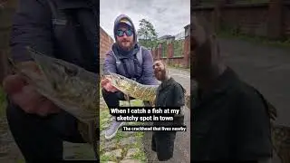 Urban Fishing Problems pt.1 #shorts #fishing
