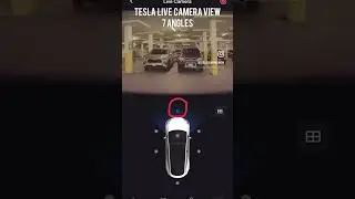 Tesla Model Y Live Camera View - 7 Angles, only w/ premium connectivity