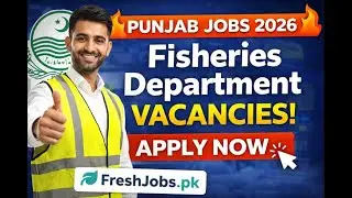 Latest Fisheries Department Punjab Jobs 2026 | Government Careers | Online Apply