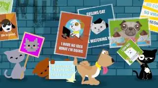 BarkPost Short