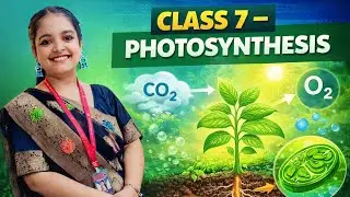 Photosynthesis Explained in Simple Words | Class 7 Science#Photosynthesis#ScienceReels