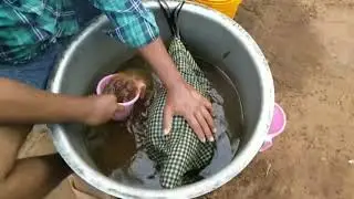 సంక్రాంతి పందెం కోళ్ళు కి వేడి నీళ్ళ పోతాలు