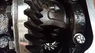 spider gear noise