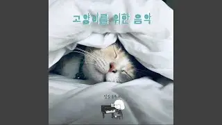 Cute kitty cat's day (귀여운 아기 고양이의 하루)