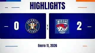 Highlights Astros Naranja - Tigres Gandia (11/01/26)