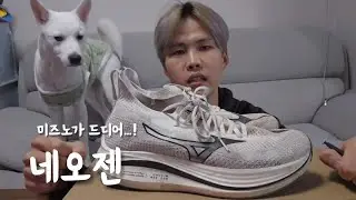 가성비 쿠션화 : 미즈노 네오젠 리뷰