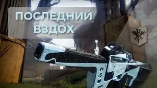Еще один автомат для Горнила | 600 RPM | Destiny 2