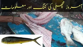 Dorado Fish Cutting & Information #fish #fishcutting  #seafood
